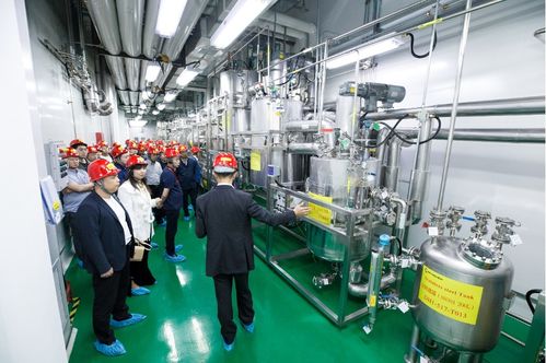 連續(xù)賦能，技術(shù)變現(xiàn) 連續(xù)流技術(shù)推廣現(xiàn)場會在敦化成功召開