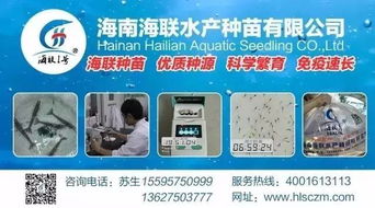 行情高漲激發(fā)養(yǎng)戶熱情，淡水魚功能料時代 超越噱頭的技術(shù)深耕與價值回歸