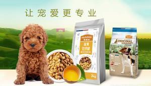 中國十大寵物食品品牌榜中榜 科學(xué)喂養(yǎng)，從選對主糧與零食開始