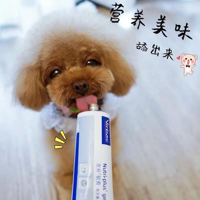 專業高效，合規清關 荷蘭寵物魚油膠囊進口報關全程指南