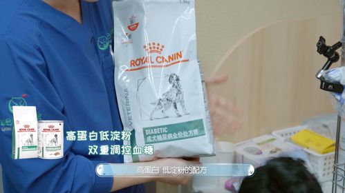 皇家寵物食品與《寵物醫生2》攜手 守護毛孩健康，以專業與關愛治愈回歸